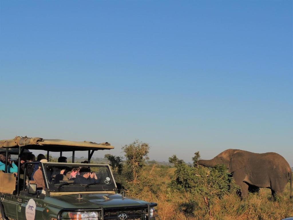 Croc Orvyll'S Kruger Lodge Marloth Park Zewnętrze zdjęcie