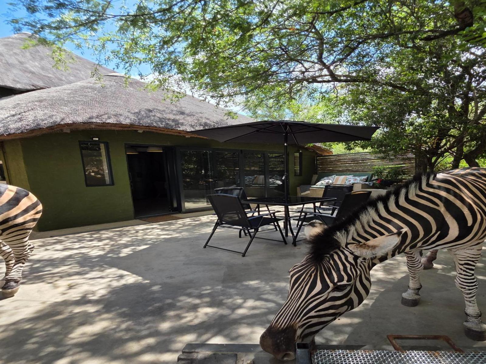 Croc Orvyll'S Kruger Lodge Marloth Park Zewnętrze zdjęcie